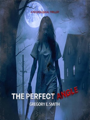 cover image of THE PERFECT ANGLE